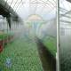 سوالات در مورد سیستم مه‌ پاش گلخانه‌ای